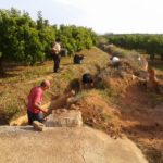Voluntaris netejen la sèquia històrica de Betxí