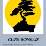 Curs "Iniciació al cultiu dels bonsais"