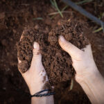 Inici de l'Espai Test Agrari Horta del Rajolar