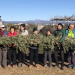 Formació del voluntariat: bioenginyeria