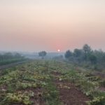Després de l’incendi a la Serra d’Espadà, què?